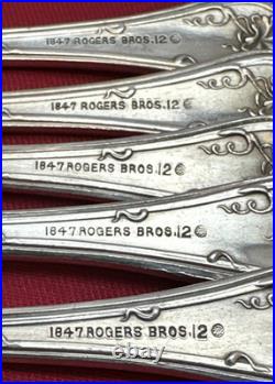 16 Pc VINTAGE (Grape) Silverplated FORKS TBLS & BLUNT KNIVES 1847 Rogers Bros
