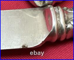 16 Pc VINTAGE (Grape) Silverplated FORKS TBLS & BLUNT KNIVES 1847 Rogers Bros