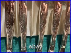 1847 Rogers Bros Eternally Yours Silver Plated Flatware Set 39pc with Wood Case