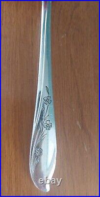 1847 Rogers Brothers IS Silver Plate Flatware Springtime Service For 8