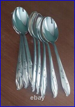 1847 Rogers Brothers IS Silver Plate Flatware Springtime Service For 8