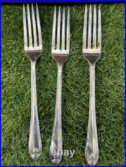 1847 Rogers Brothers Set Of 41 Pieces America's Finest Silverplate