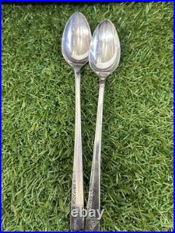 1847 Rogers Brothers Set Of 41 Pieces America's Finest Silverplate