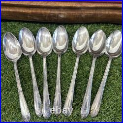 1847 Rogers Brothers Set Of 41 Pieces America's Finest Silverplate