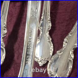 47-Pc 1847 Rogers Bros REFLECTION Silverplate Flatware Set with Naken Chest 1959