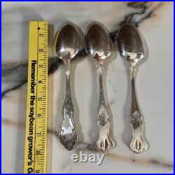 47 Pcs 1847 Rogers Bros VINTAGE Grape Vine Silverware