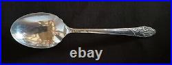 48 piece Oneida Community Silverplate Evening Star Flatware Silverware Set