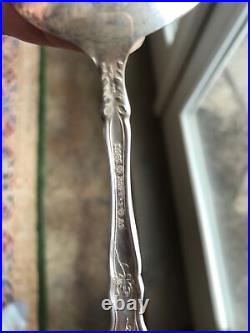 7 Rare Soup Bullion Spoons 1881 Rogers Grape pattern silver plate