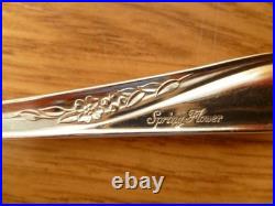 VTG WM ROGERS & SON 67 pc Silverplate Flatware set & Chest SPRING FLOWER PATTERN