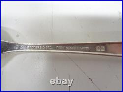 Vintage Rogers Bro Reinforced Plate IS Flatware STARLIGHT 49 Pieces