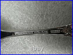 Vintage Silverware WM ROGERS MFG. CO EXTRA PLATE ORIGINAL ROGERS 48 Pc Set For 8