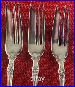 Vtg Rogers 1881 La Vigne Silverplate flatware set of 34