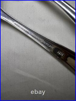 Vtg Rogers & Bro Reinforced Plate IS Exquisite Service 10+ with Serving Pieces