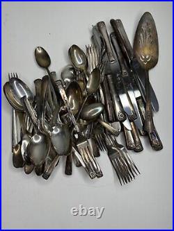 WM Rogers Silver Plate Flatware Mixed Spring Charm 1950s Set 81 Pc Set Flowers