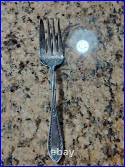 Wm A Rogers Vintage Silver extra Plate 51-Piece FIDELIS 1933