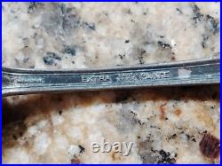 Wm A Rogers Vintage Silver extra Plate 51-Piece FIDELIS 1933