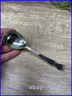 Wm Rogers Reinforced Silver Plate Lady Densmore Pattern 12 place settings + more